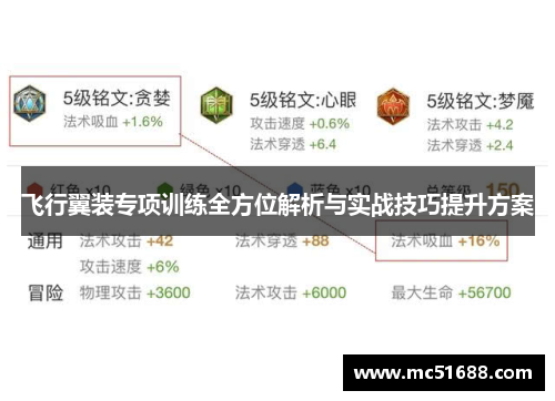 飞行翼装专项训练全方位解析与实战技巧提升方案