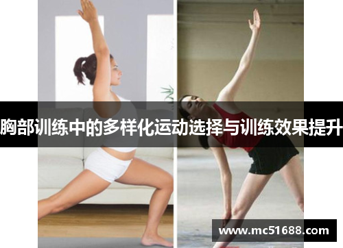 胸部训练中的多样化运动选择与训练效果提升